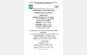 TROPHEE 2 COMITES +55 ans Triplettes